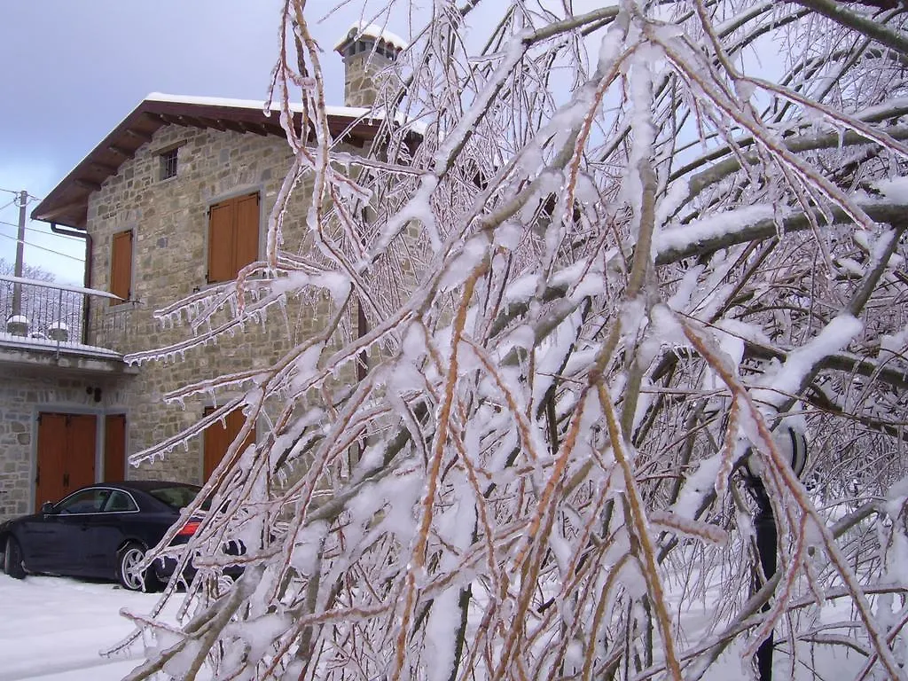Agriturismo Il Falco Del Monte Fumaiolo Alfero Włochy