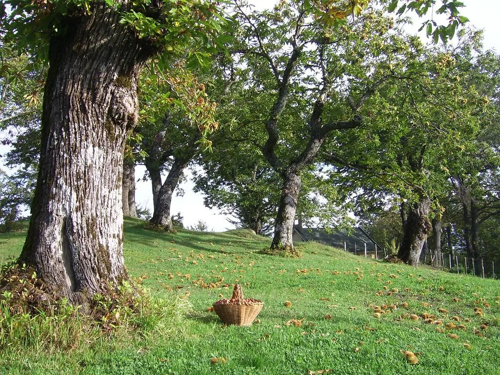Agriturismo Il Falco Del Monte Fumaiolo Alfero 0*,