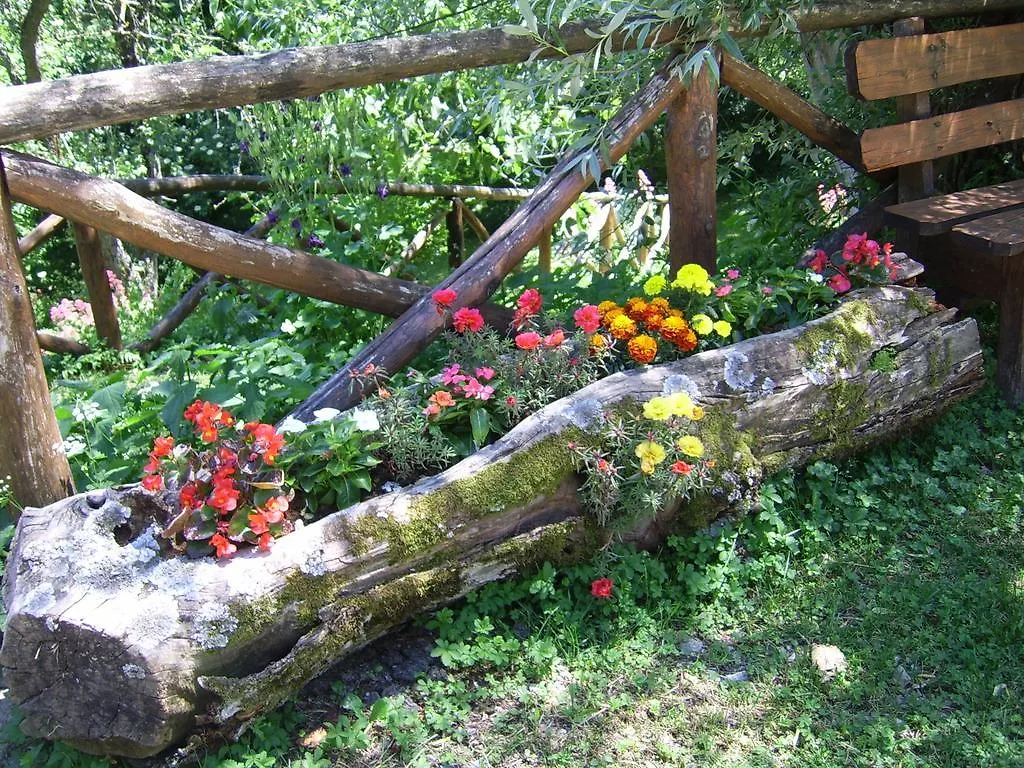 Agriturismo Il Falco Del Monte Fumaiolo Alfero