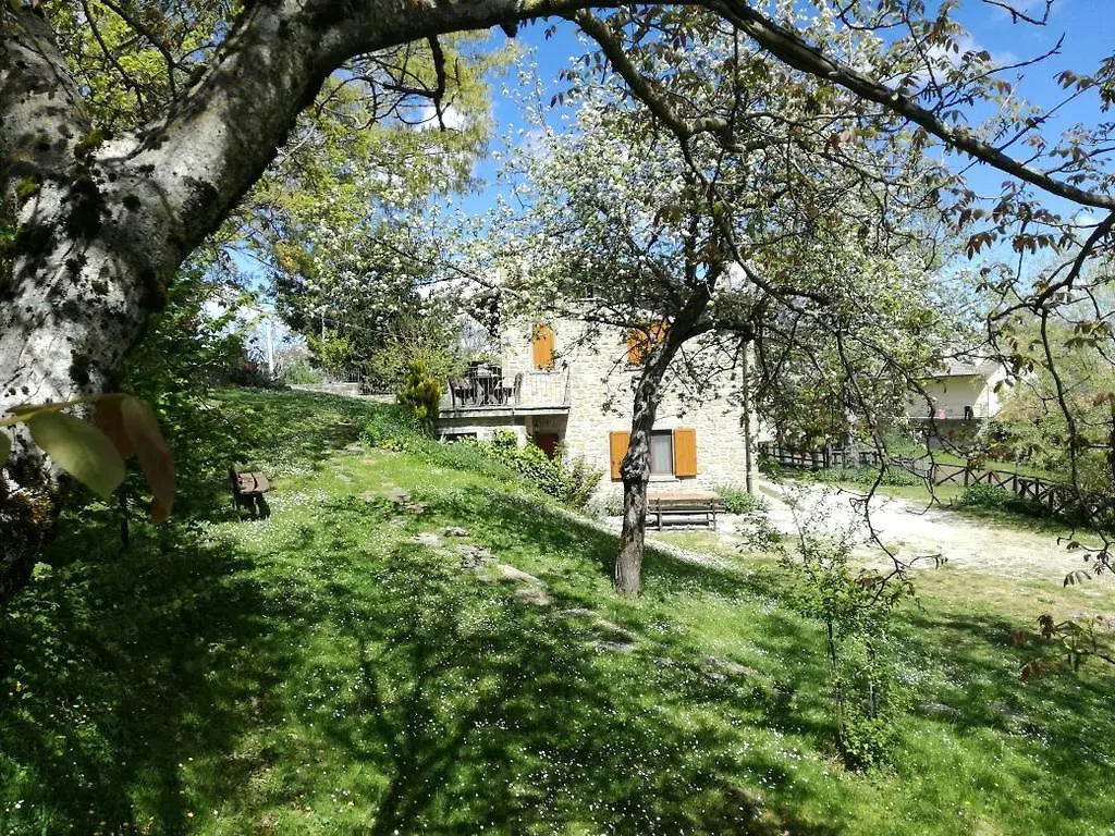 Agriturismo Il Falco Del Monte Fumaiolo Alfero 0*,