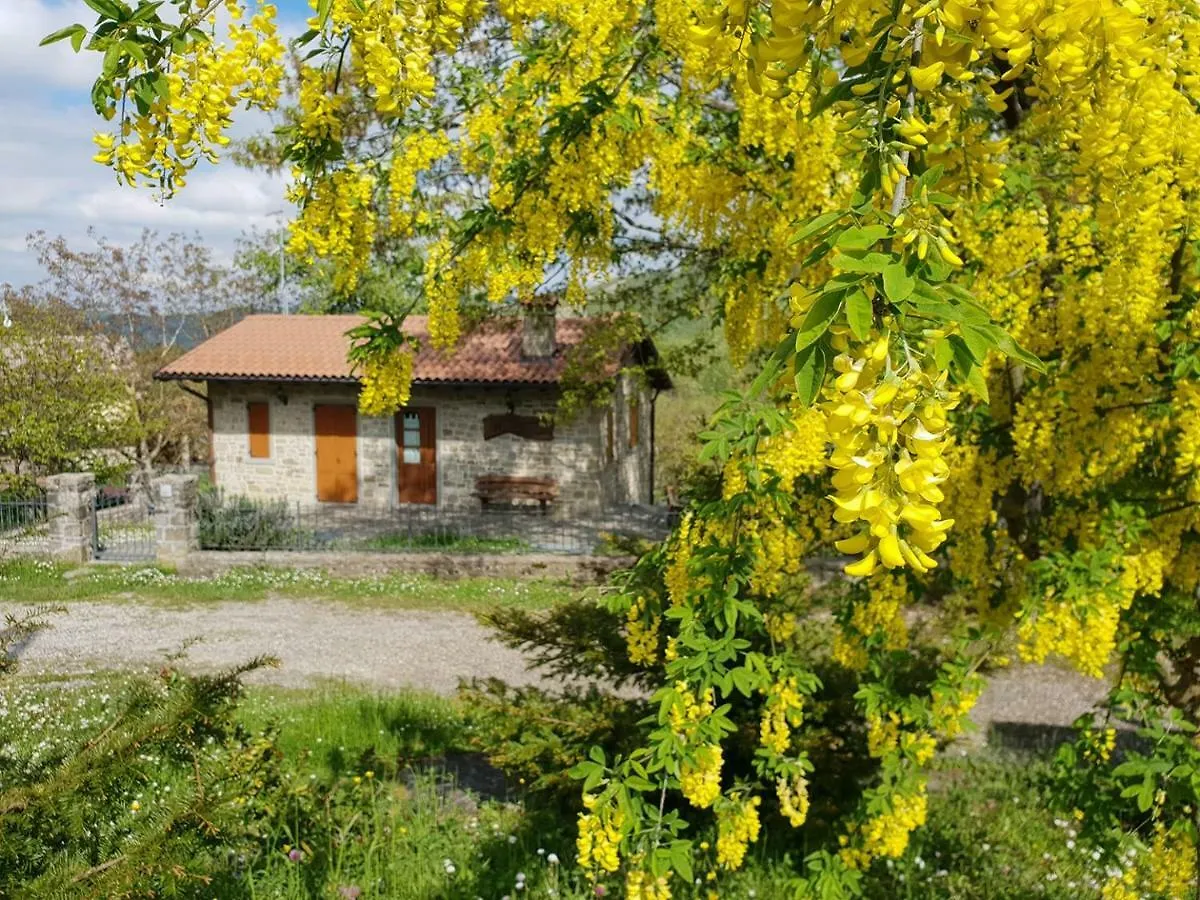 Gospodarstwo agroturystyczne Agriturismo Il Falco Del Monte Fumaiolo Alfero Włochy
